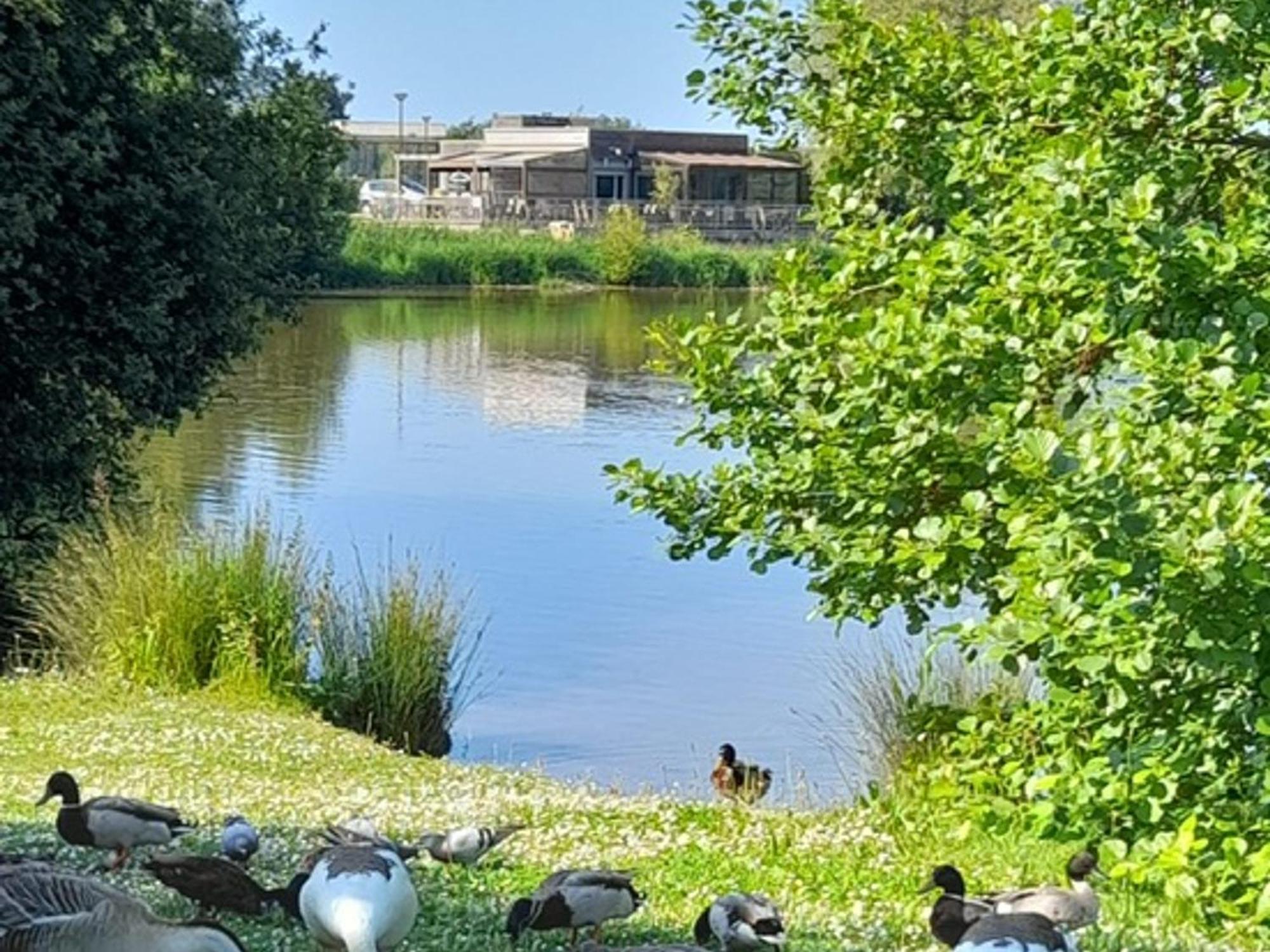 Appartement Refait A Neuf Avec Loggia Et Parking, A 2 Pas De La Plage Et Des Commerces - Fr-1-712-7 Villers-sur-Mer Eksteriør bilde